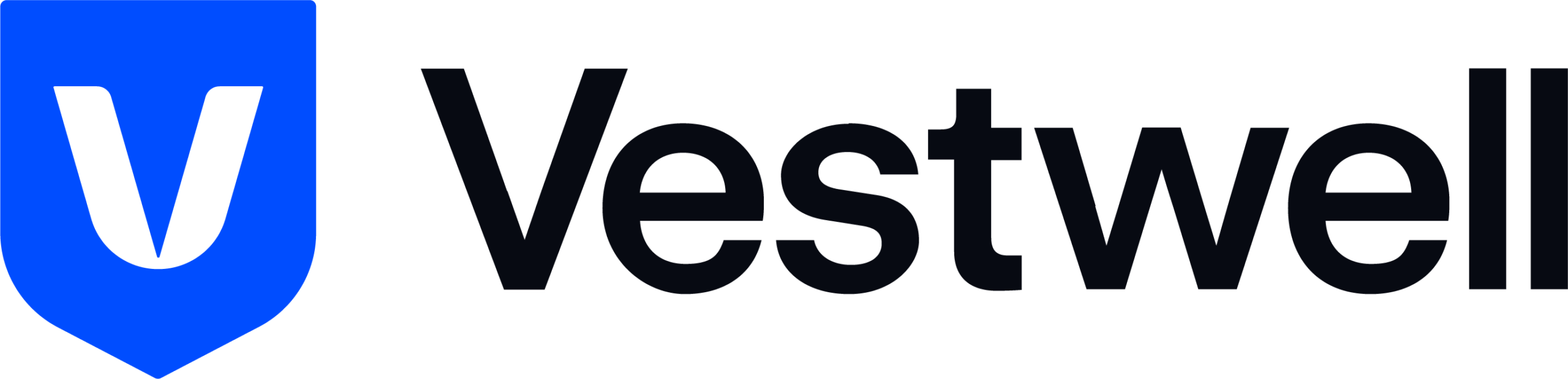 VW Logotype Horizontal 002